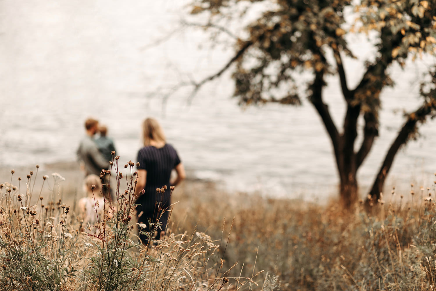 Een gezin loopt door hoog gras voor een gezinsfotoshoot buiten