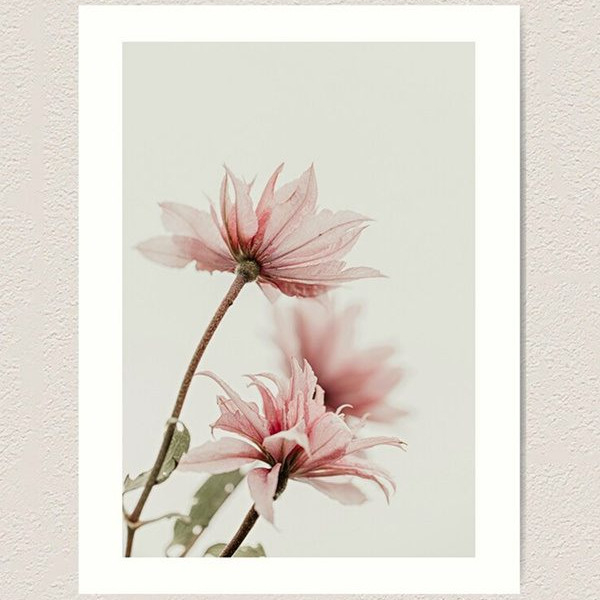 fine art print with pink flowers on white background